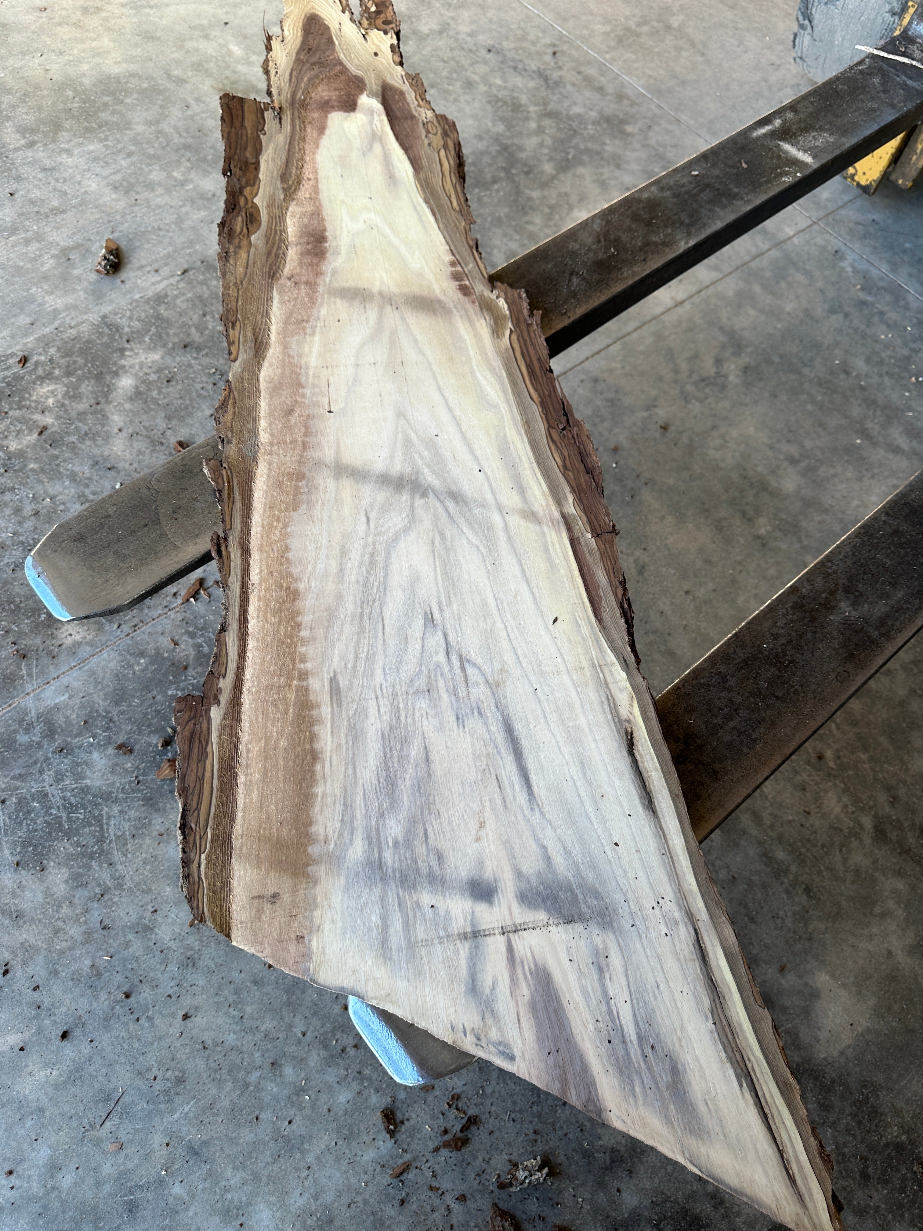 Black Walnut Live-edge slab