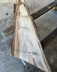 Black Walnut Live-edge slab