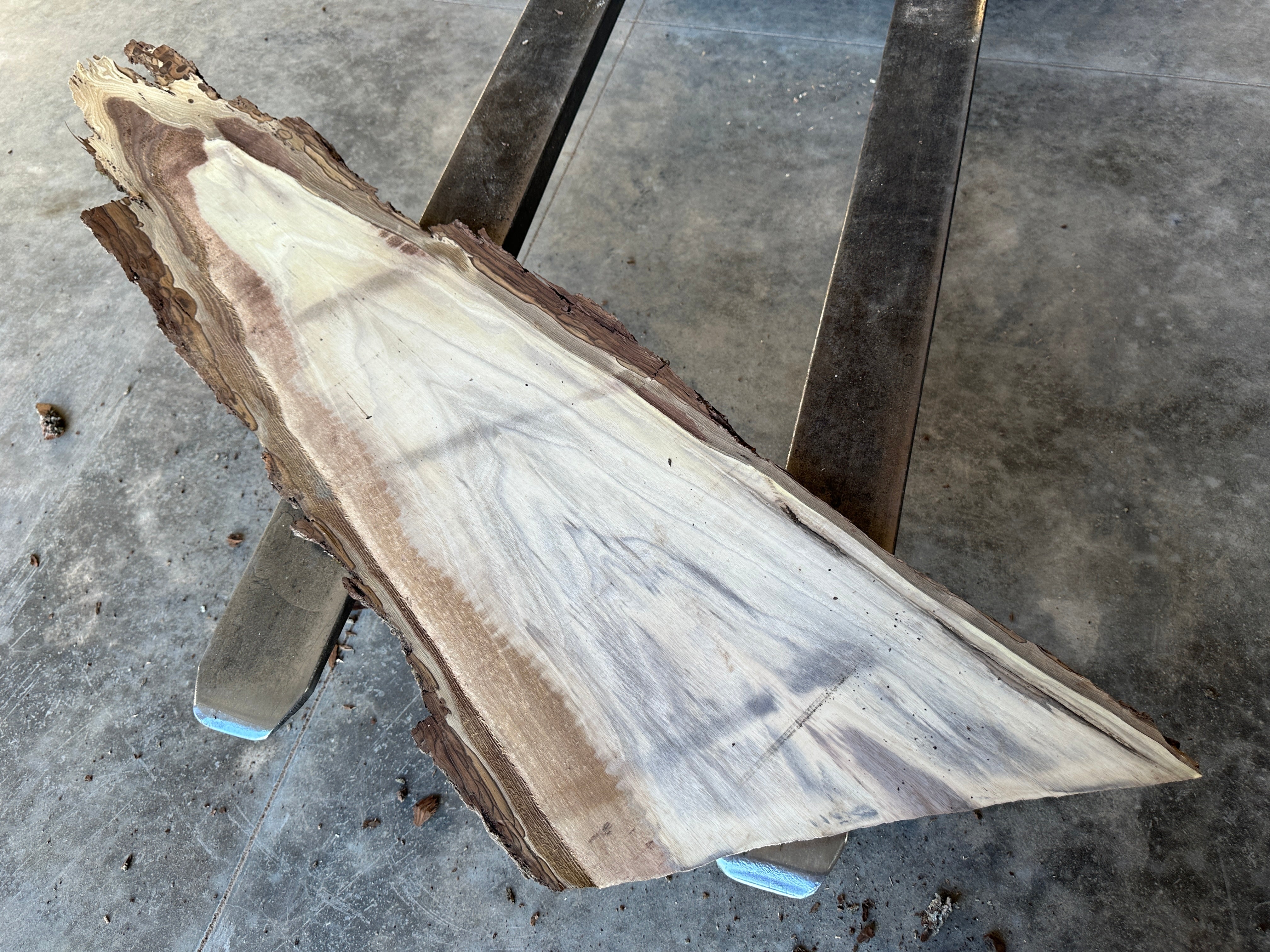 Black Walnut Live-edge slab