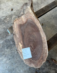 Black Walnut Live-Edge slab