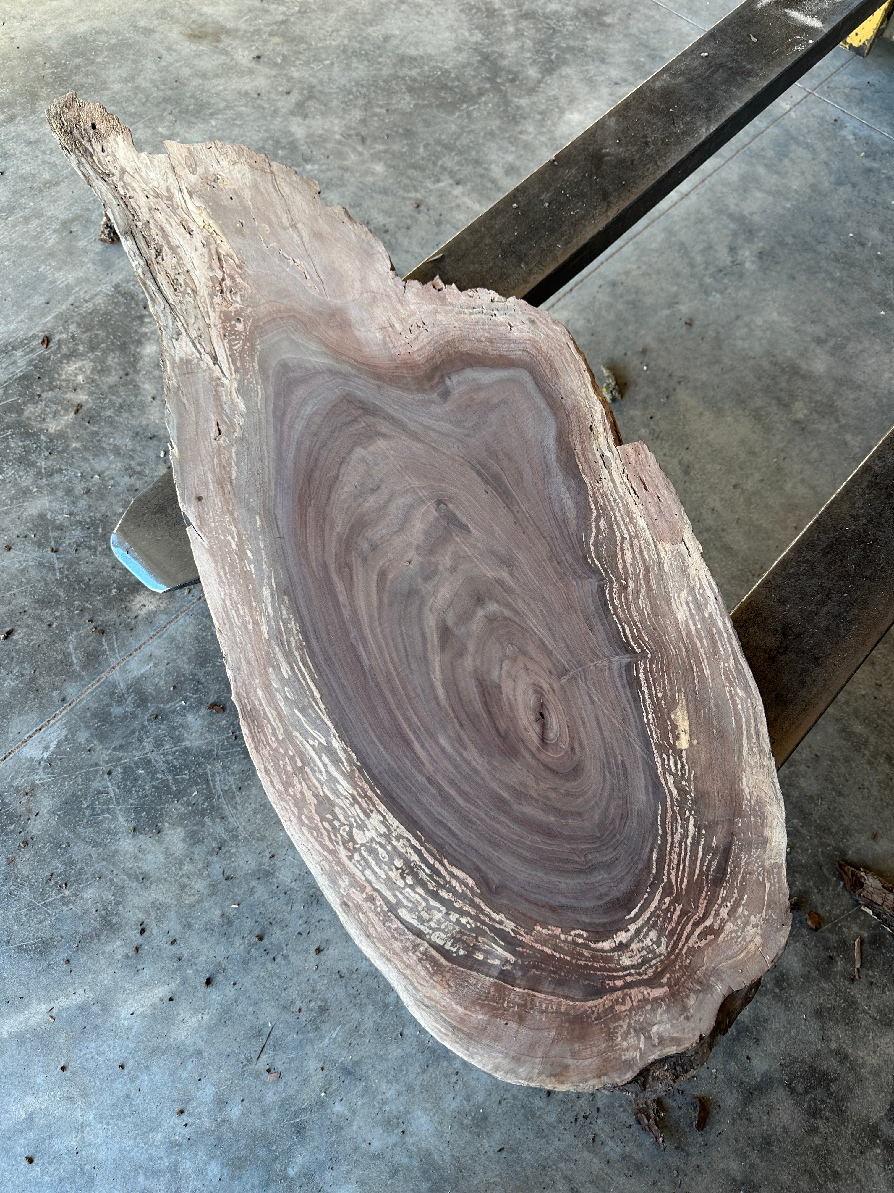 Black Walnut Live-Edge slab