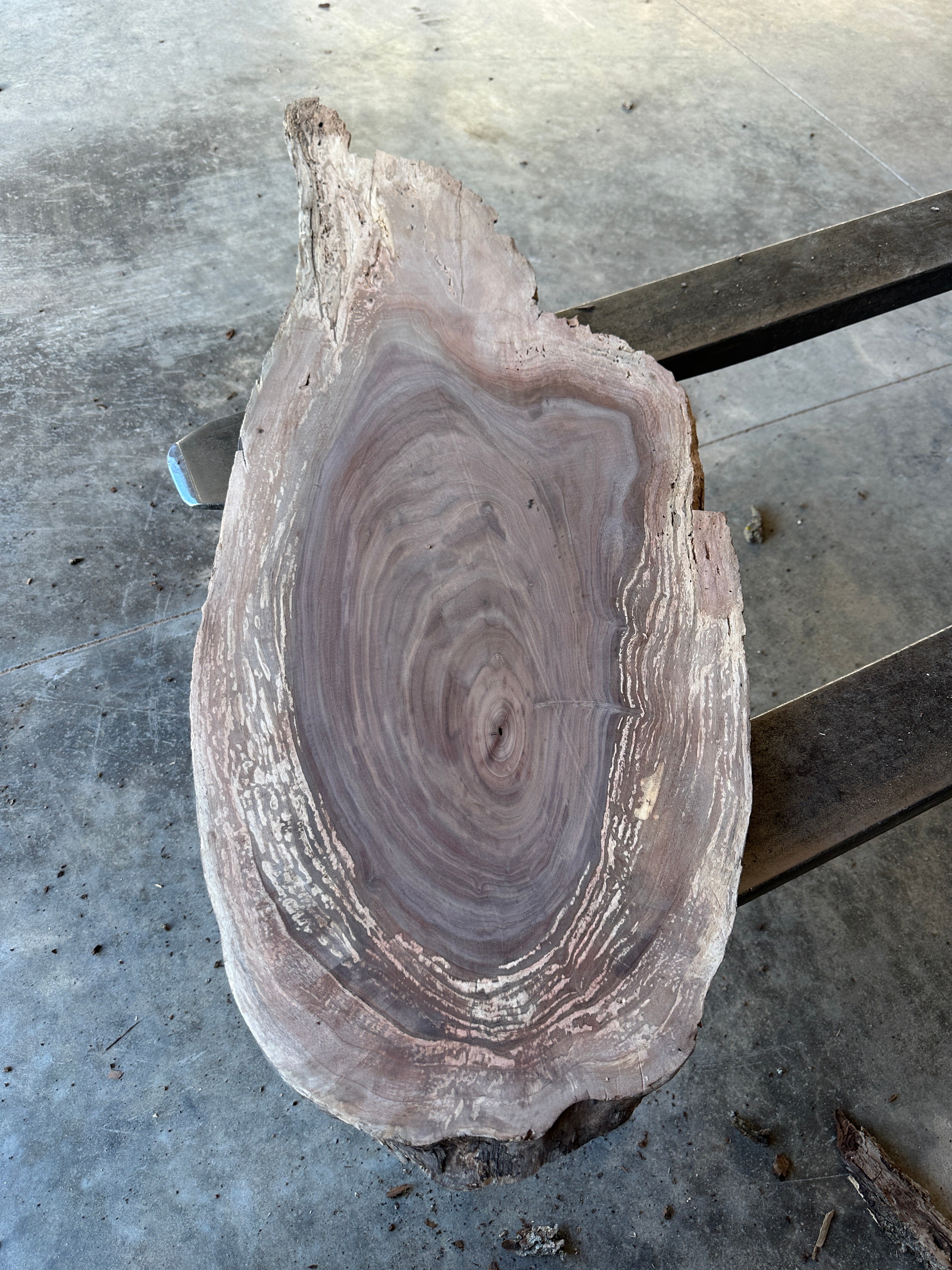 Black Walnut Live-Edge slab
