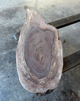 Black Walnut Live-Edge slab