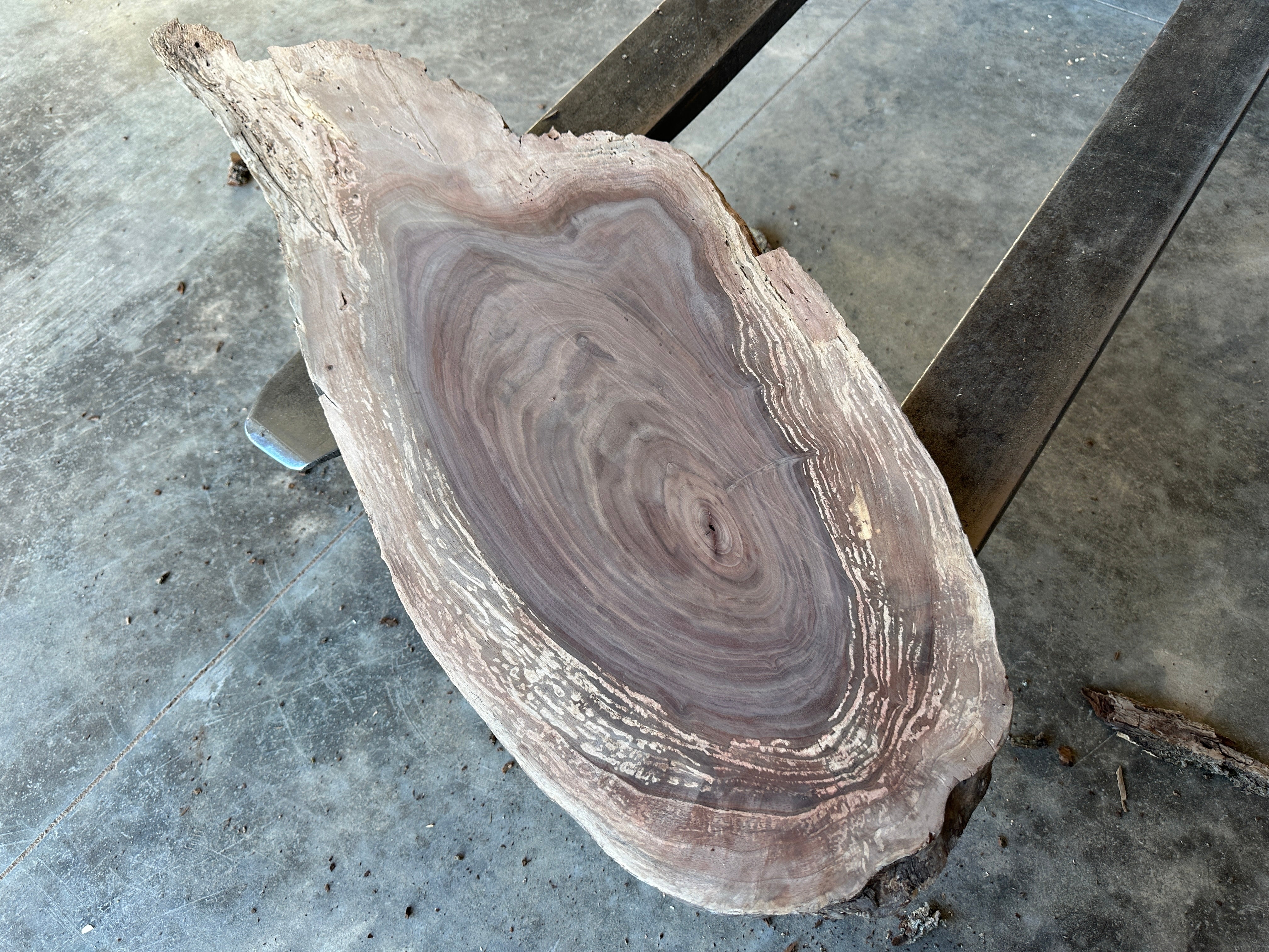 Black Walnut Live-Edge slab