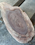 Black Walnut Live-Edge slab