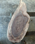 Black Walnut Live-Edge slab