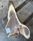 Black Walnut Live-edge Slab