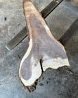 Black Walnut Live-edge Slab