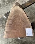 Black Walnut