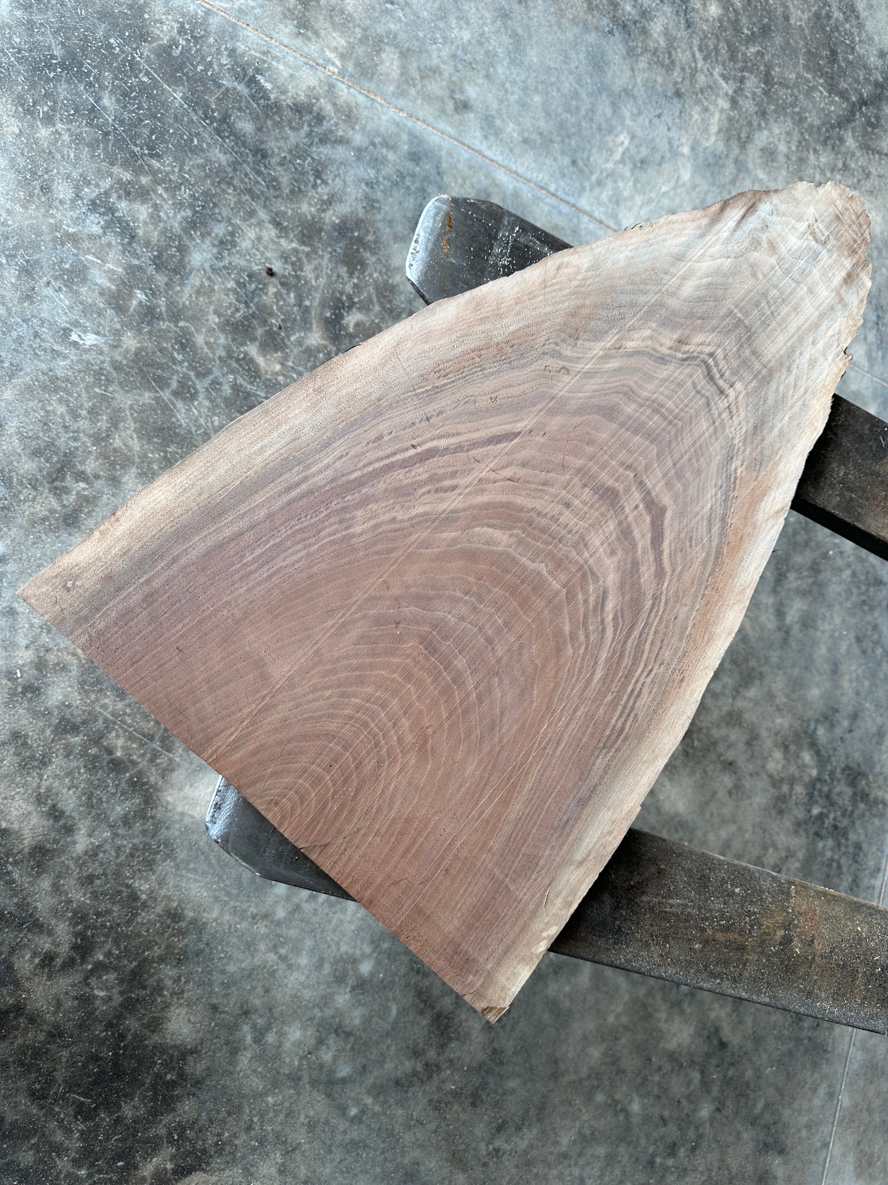 Black Walnut