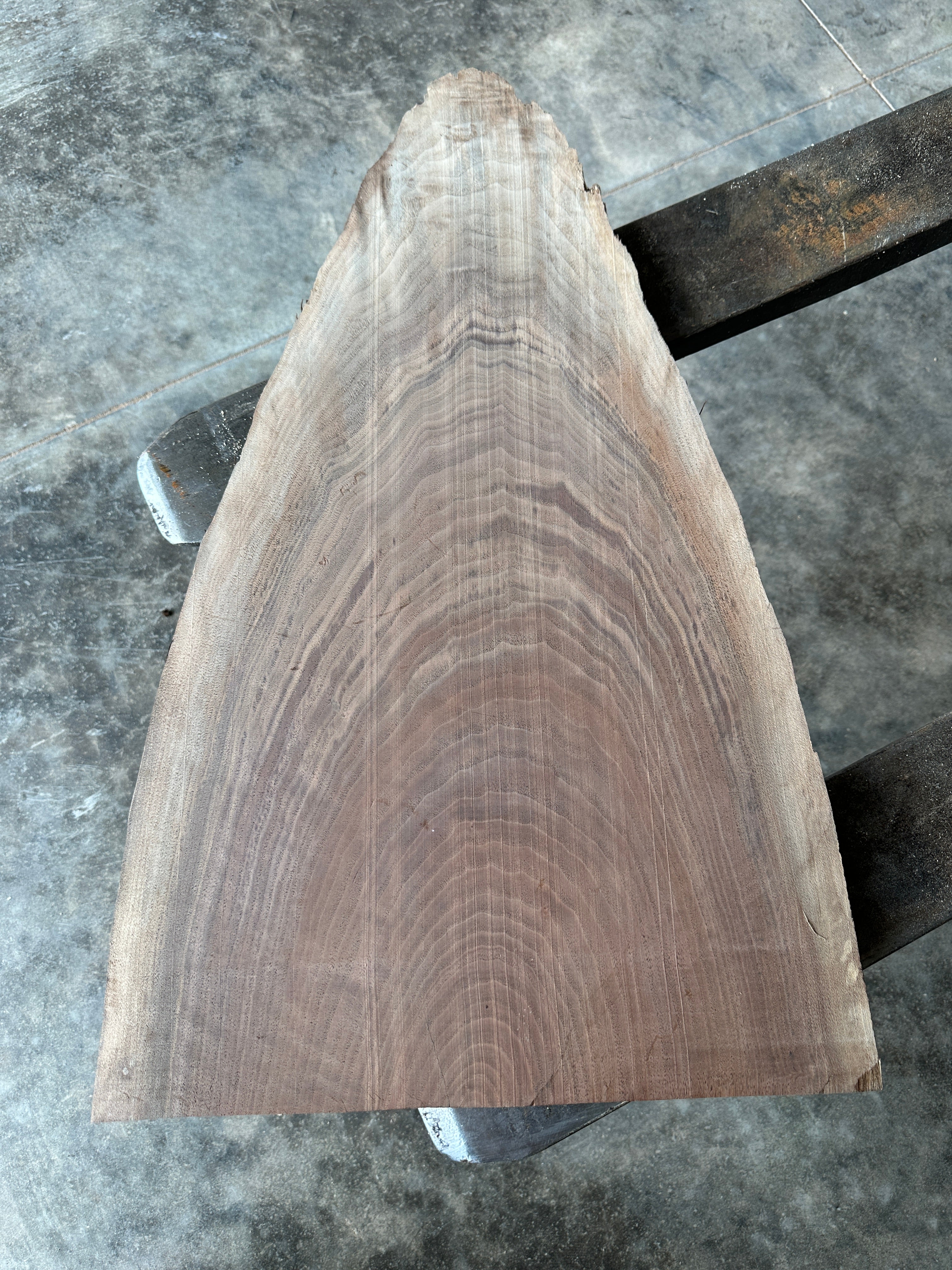 Black Walnut