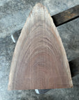 Black Walnut