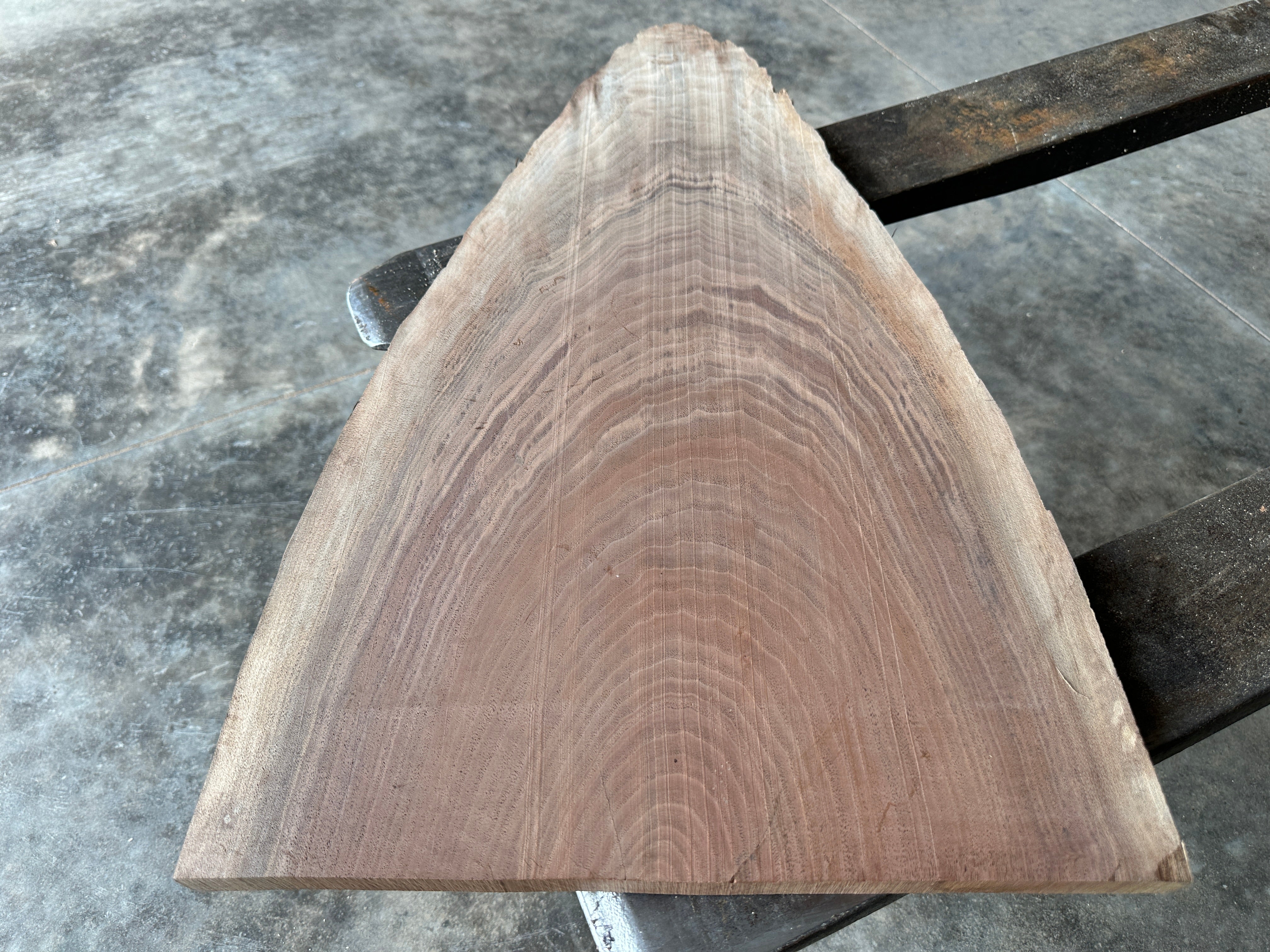 Black Walnut