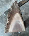 Black Walnut