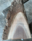 Black Walnut