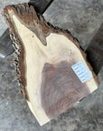 Black Walnut