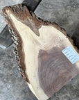 Black Walnut