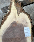 Black Walnut