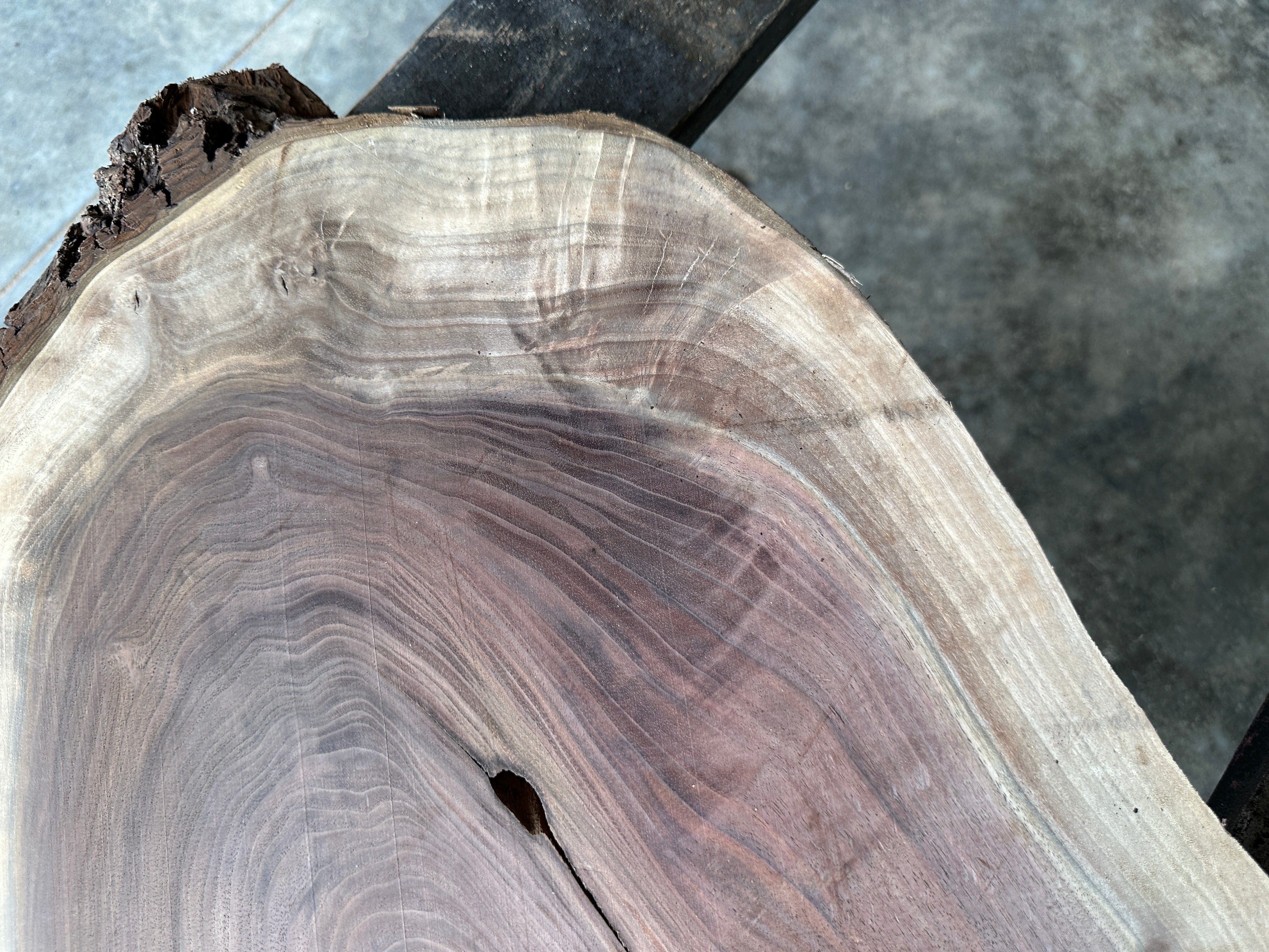 Black Walnut