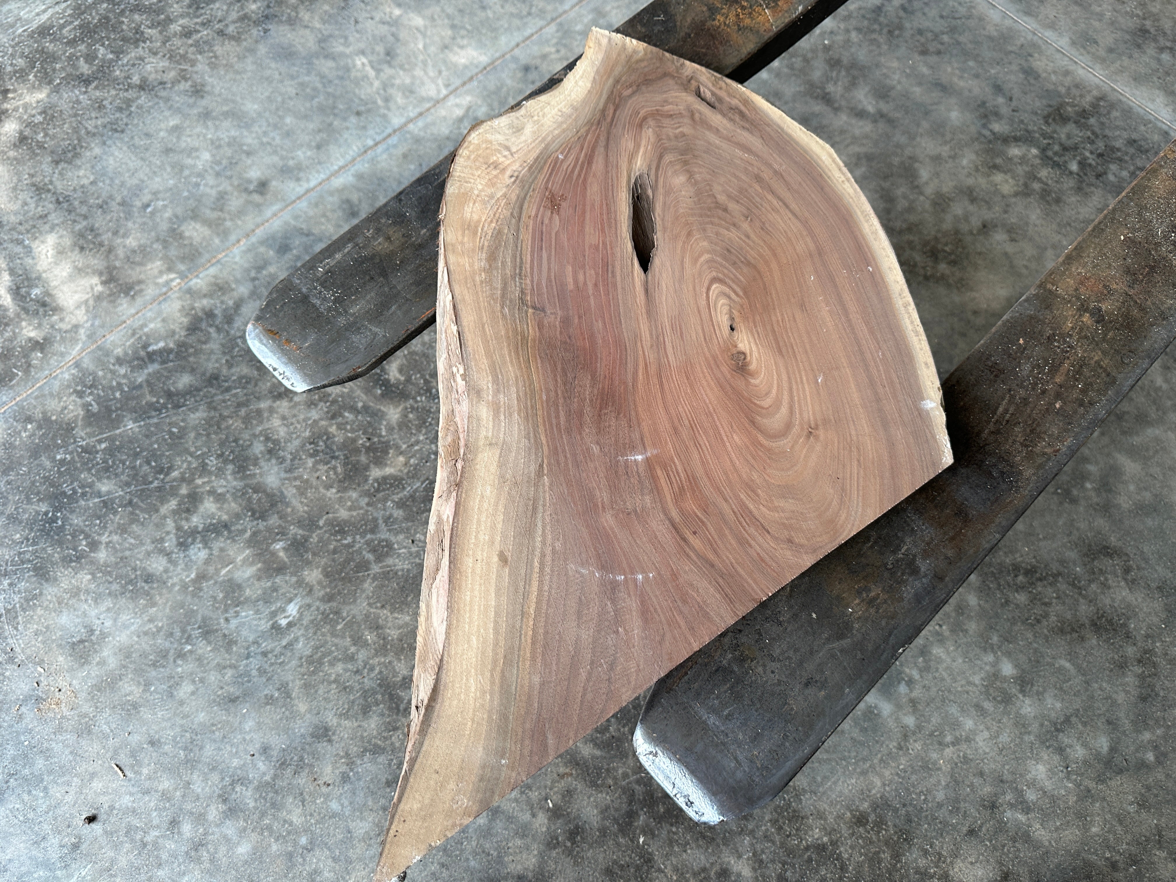 Black Walnut