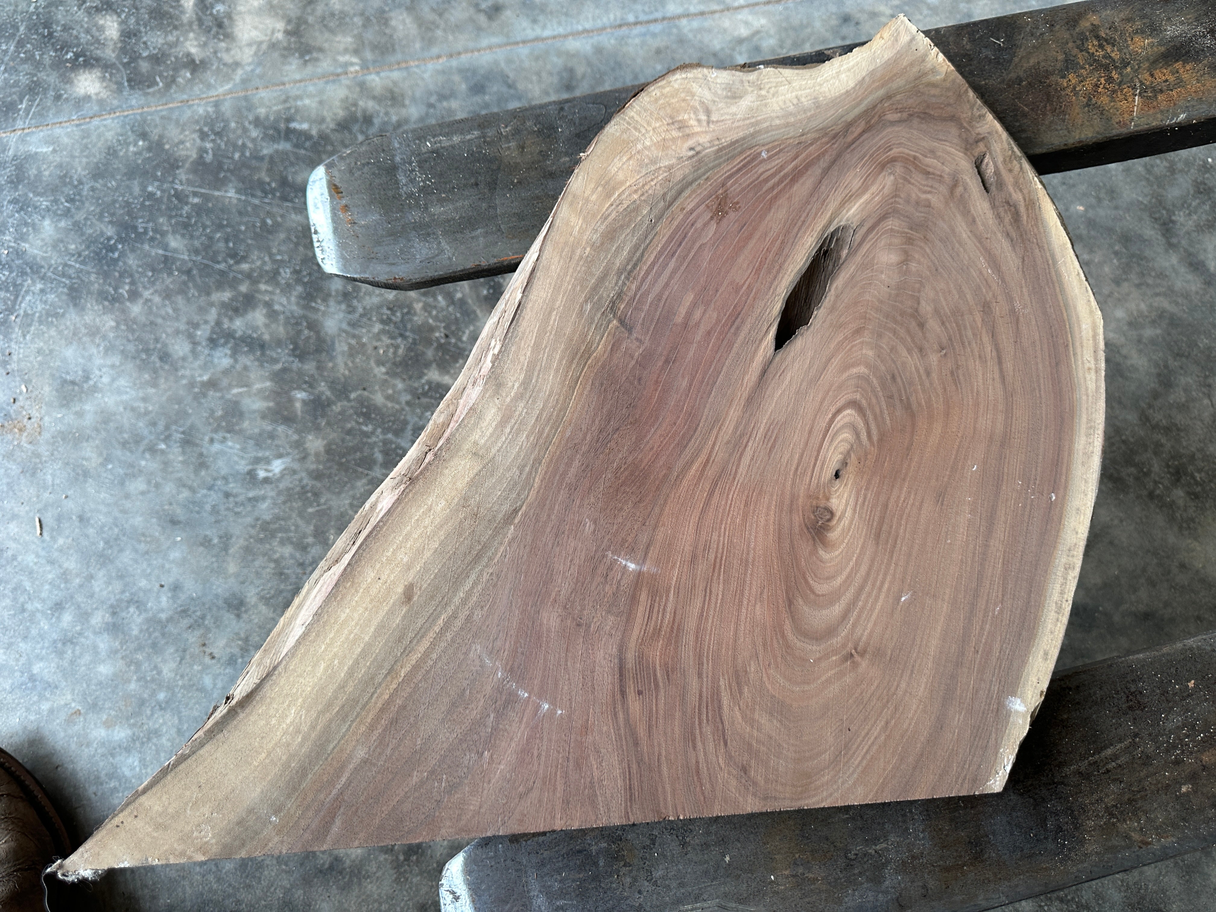 Black Walnut