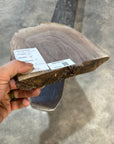 Black Walnut Slab