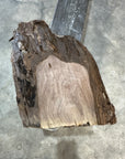 Black Walnut Slab