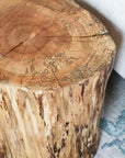 Spalted Maple Natural Tree Trunk Stump Side Table - Authentic, Real, Genuine Wood