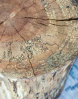 Spalted Maple Natural Tree Trunk Stump Side Table - Authentic, Real, Genuine Wood