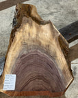 Black Walnut Slab