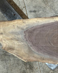 Black Walnut Slab