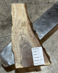 Black Walnut Slab