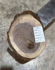 Black Walnut Slab