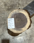 Black Walnut Slab
