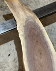 Black Walnut Slab