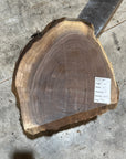 Black Walnut Slab
