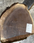 Black Walnut Slab
