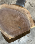 Black Walnut Slab