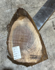 Black Walnut Slab