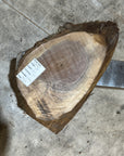 Black Walnut Slab