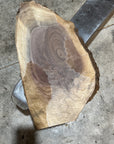 Black Walnut Slab