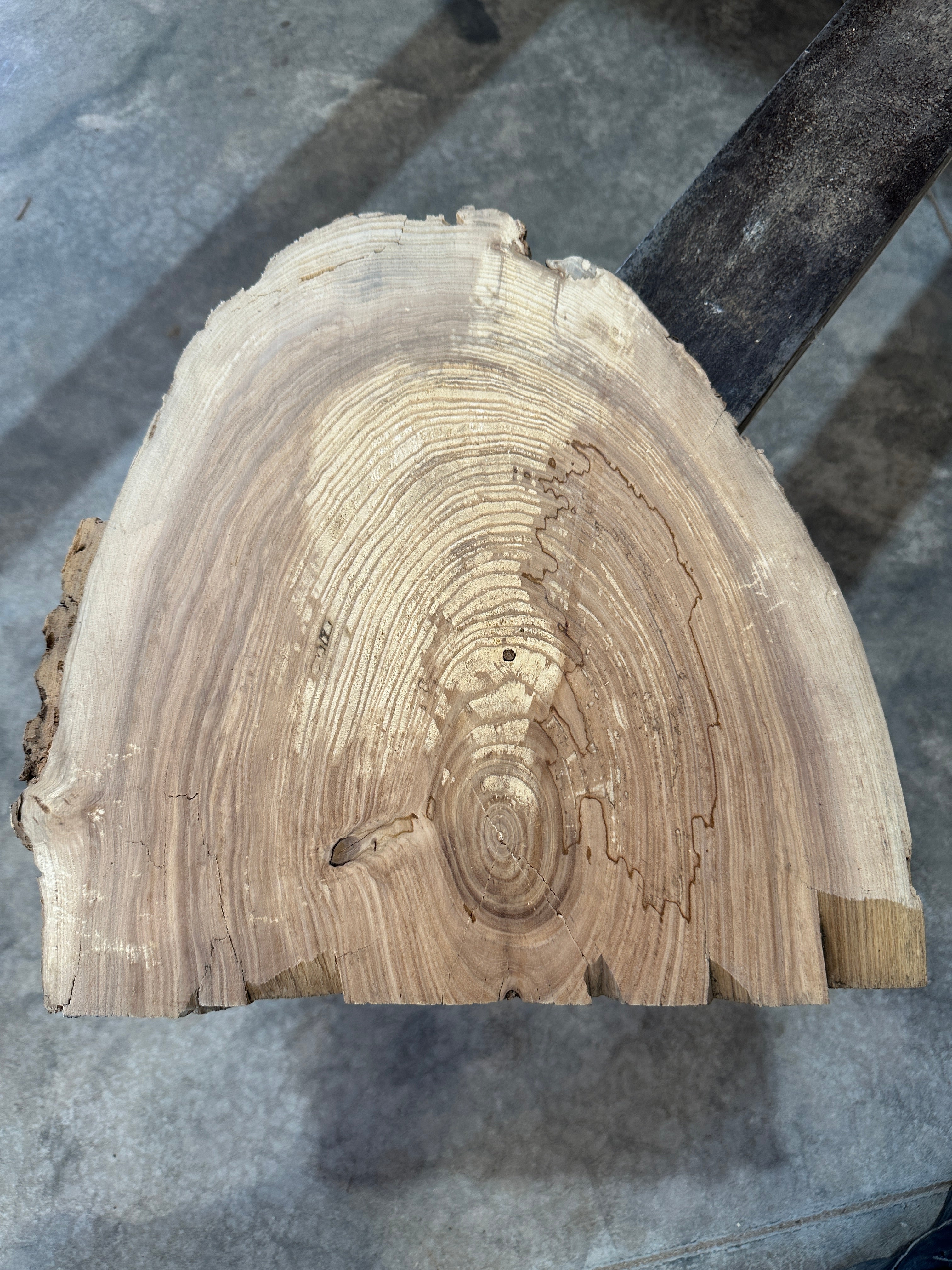 White Ash slab