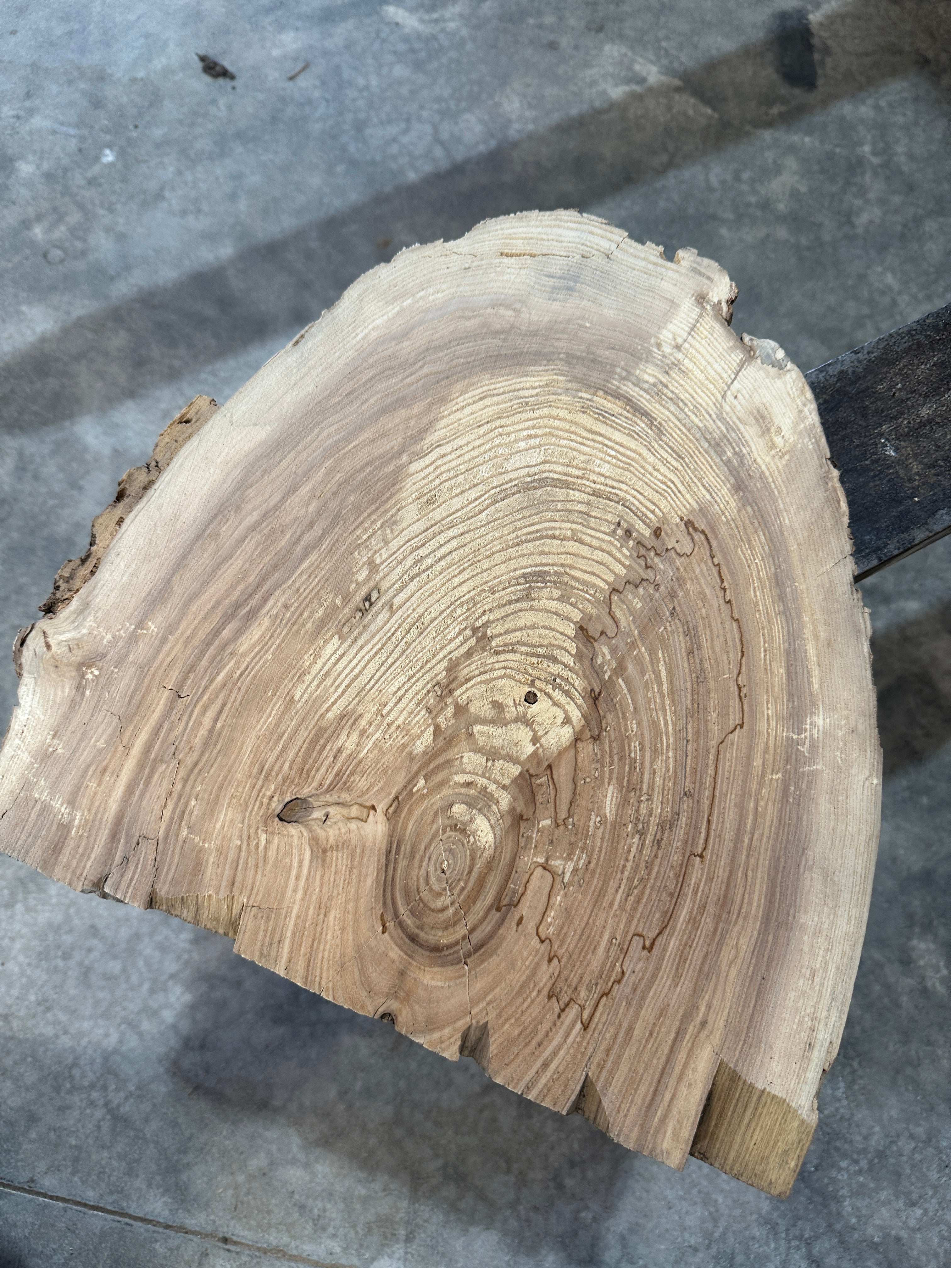 White Ash slab