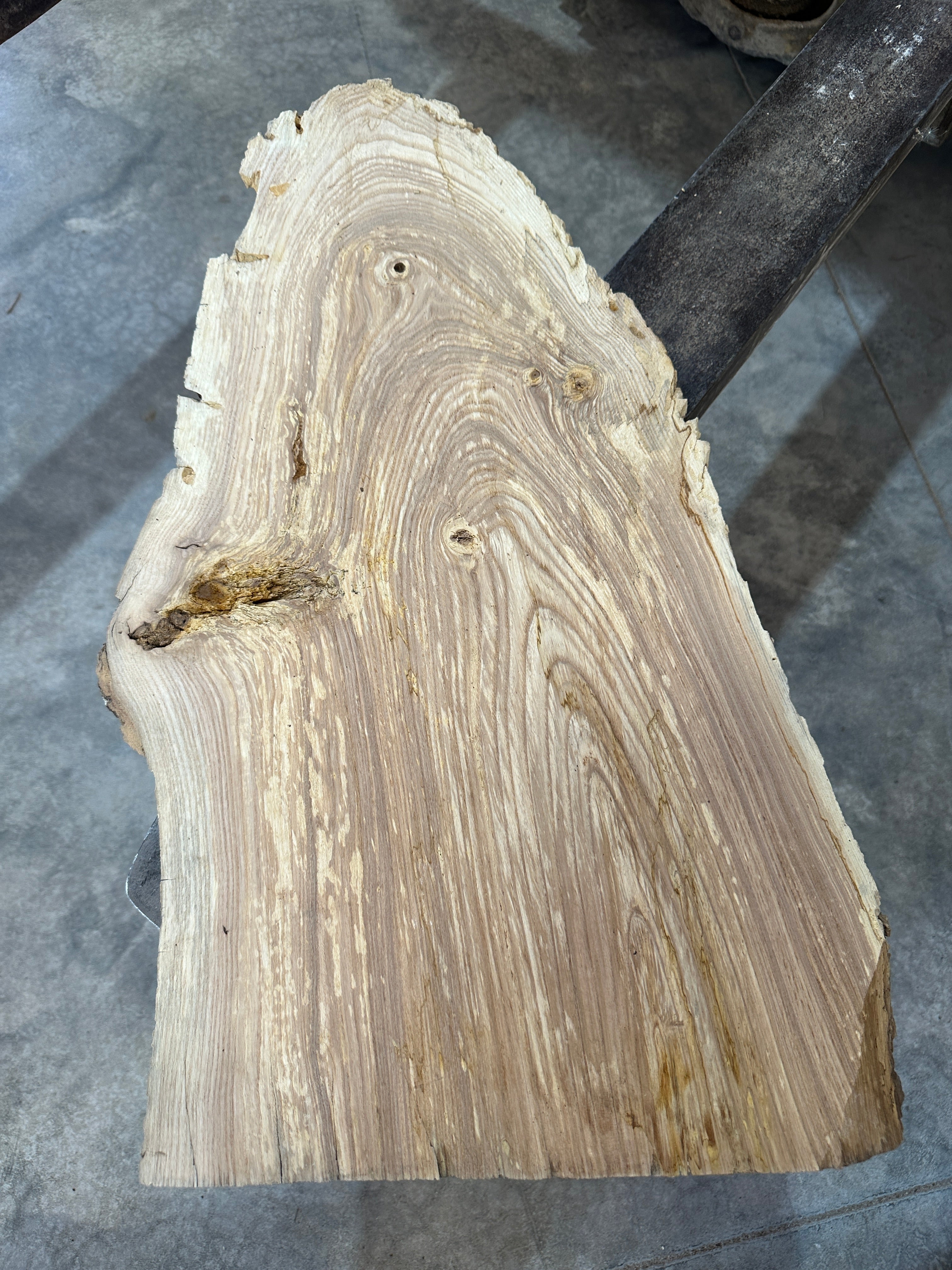 White Ash slab