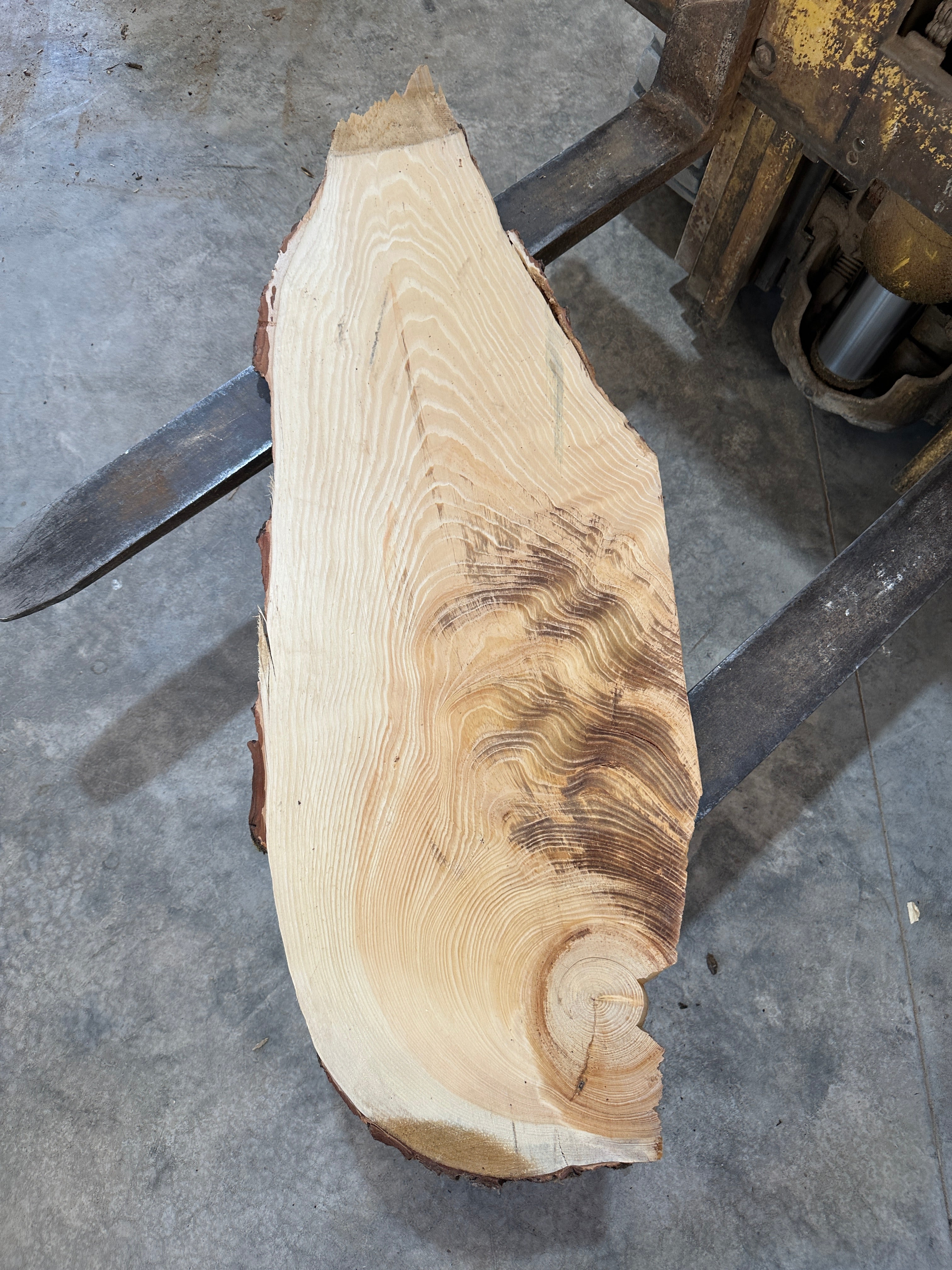 White Pine Slab