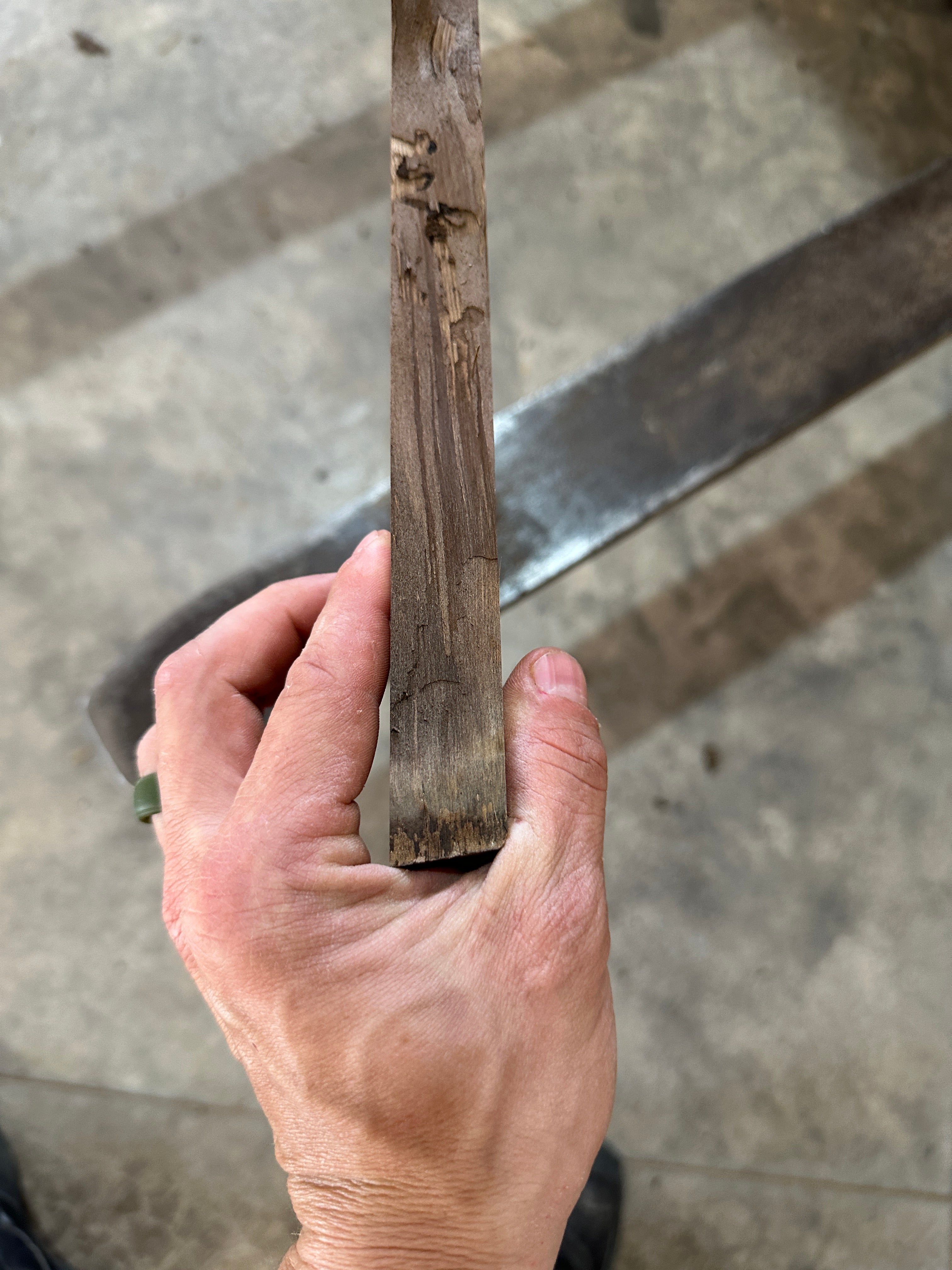 Black Walnut Slab