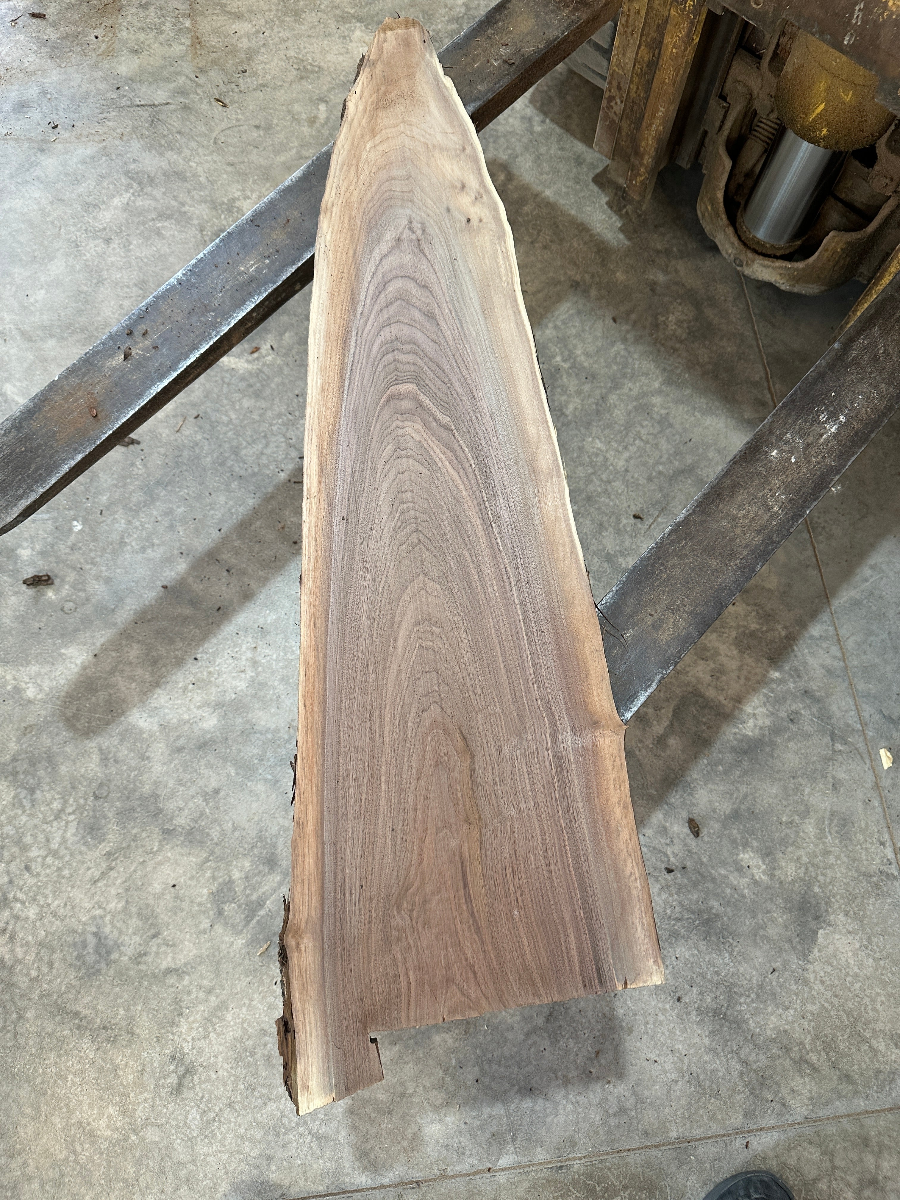Black Walnut Slab