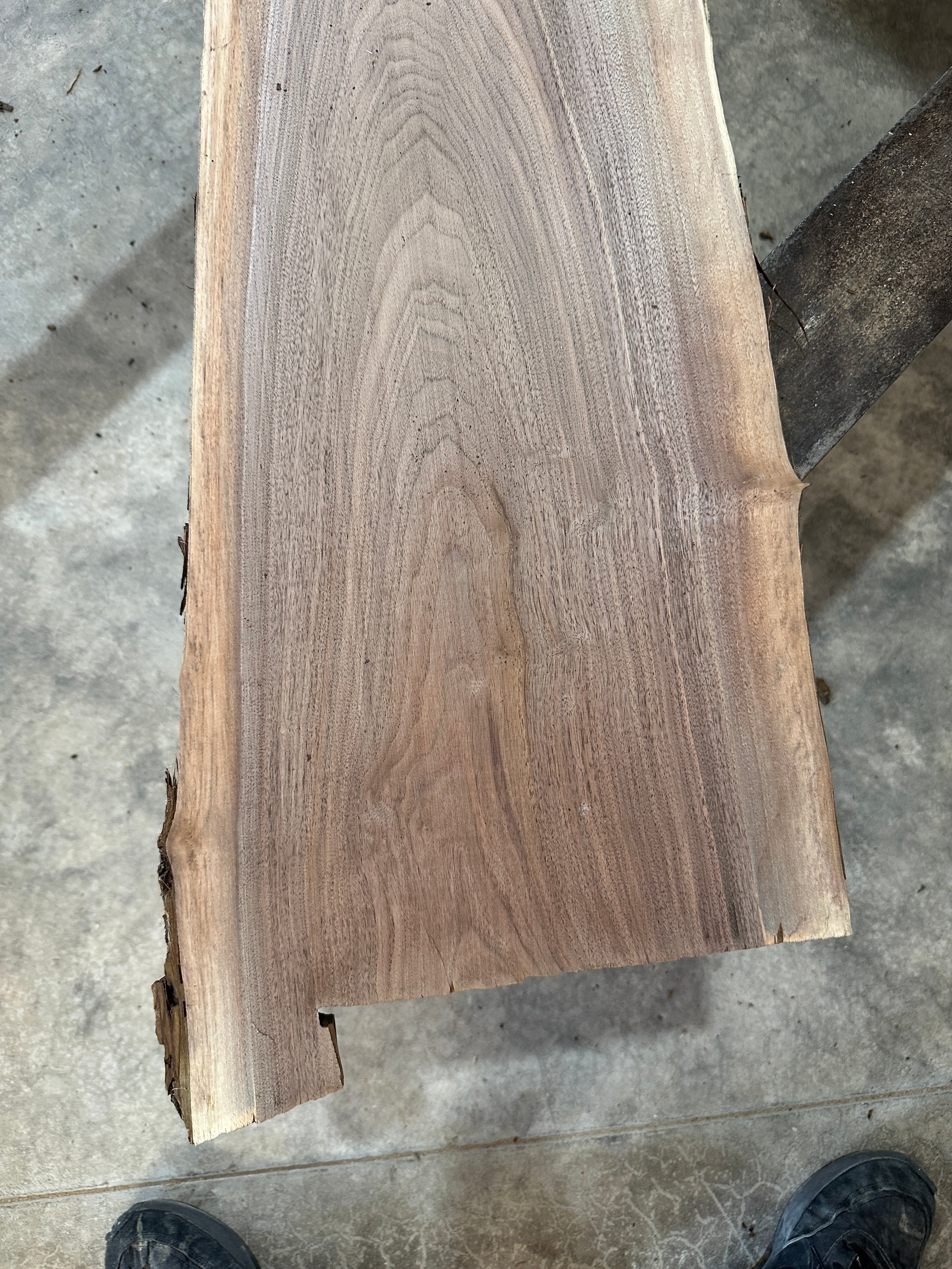 Black Walnut Slab