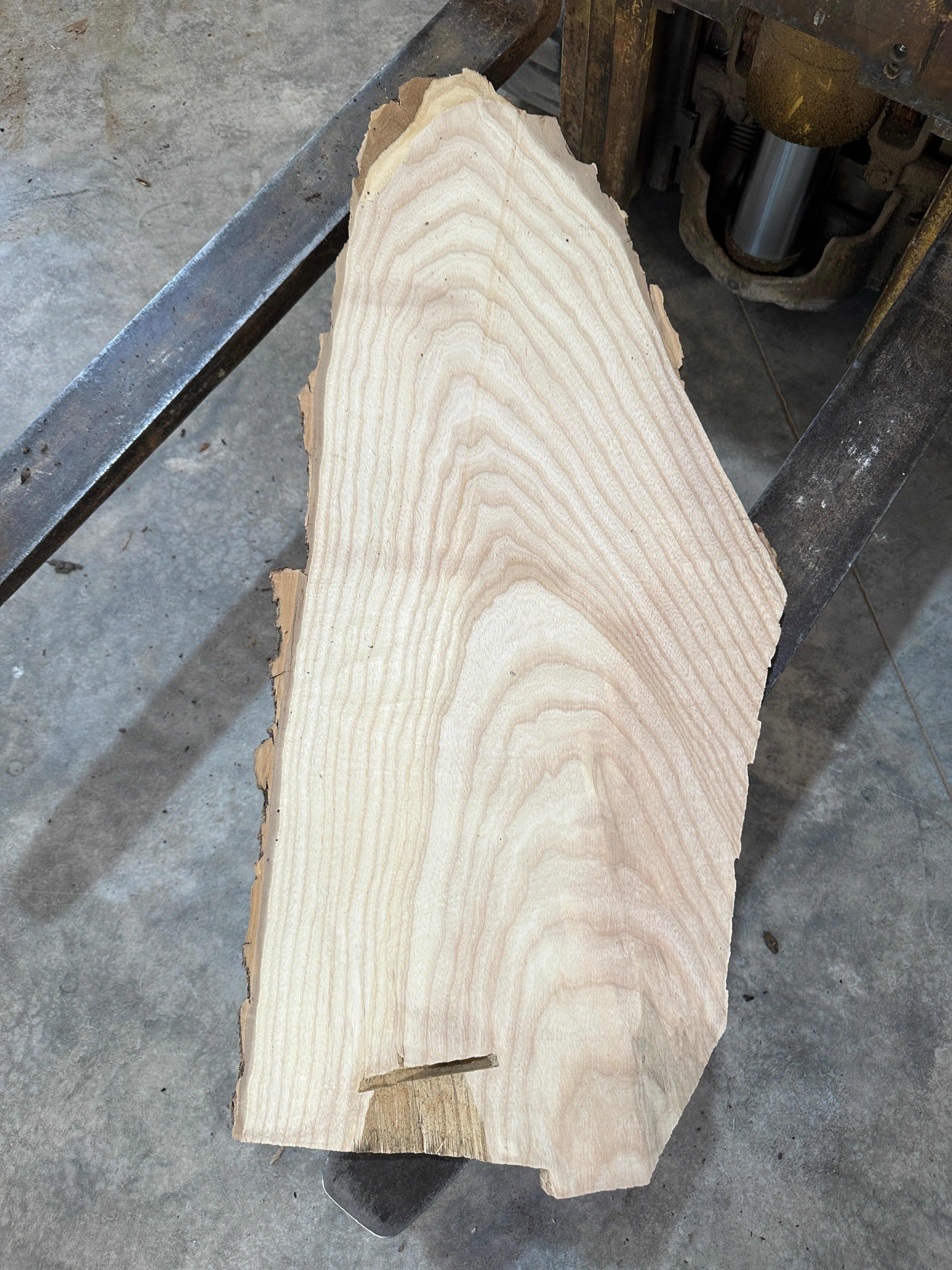 White Ash slab