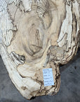 Spalted Hackberry Slab